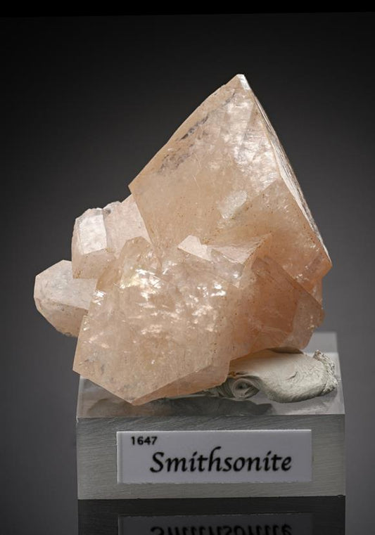 CC16023 specimen image