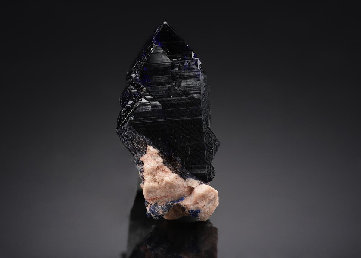 CC16052 specimen image