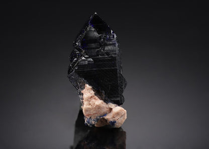 CC16052 specimen image