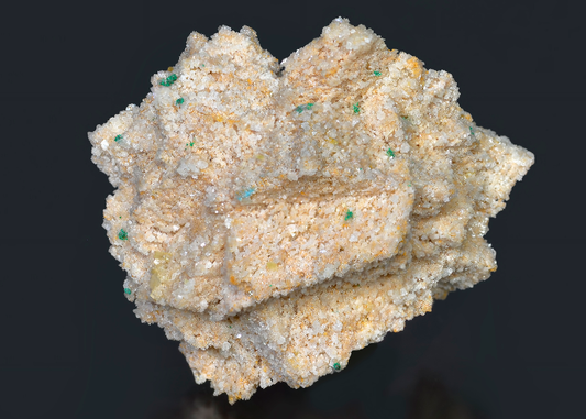 CC16063 specimen image