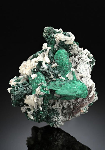 CC16065 specimen image
