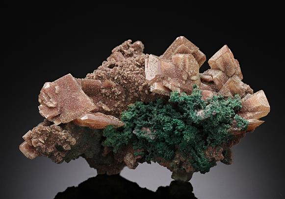 CC16074 specimen image