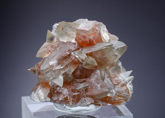 CC16121 specimen image