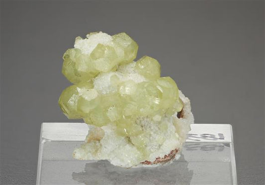 CC16122 specimen image