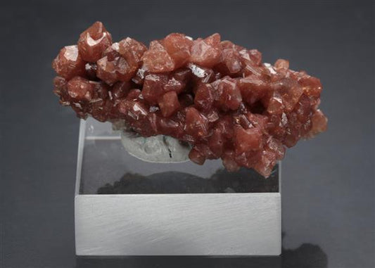 CC16127 specimen image