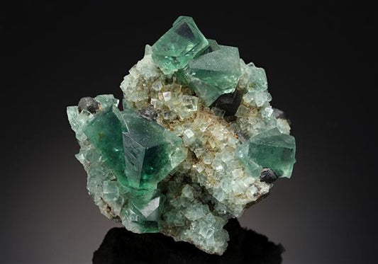 CC16265 specimen image