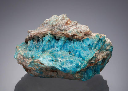 CC16338 specimen image