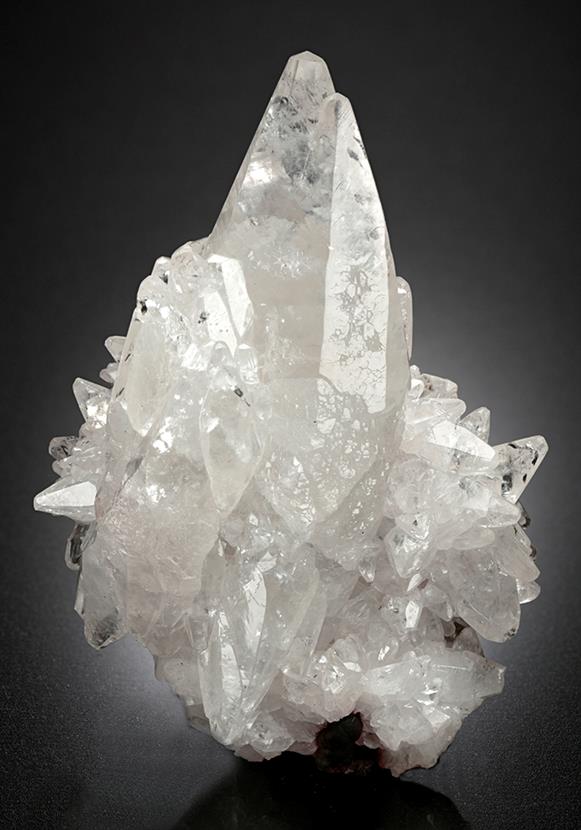 CC16340 specimen image