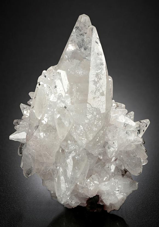 CC16340 specimen image