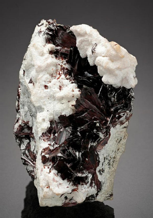 CC16353 specimen image