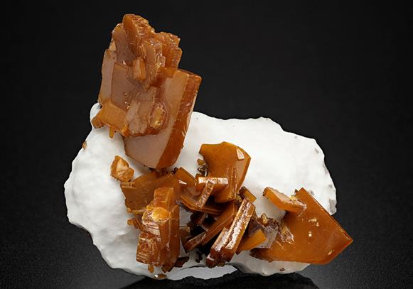 CC16367 specimen image