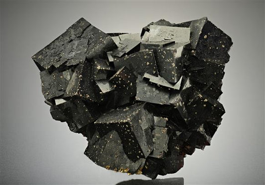 CC16375 specimen image