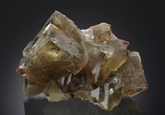 CC16376 specimen image