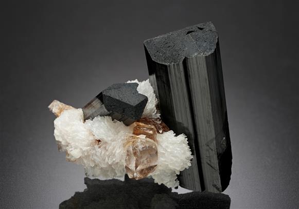 CC16379 specimen image