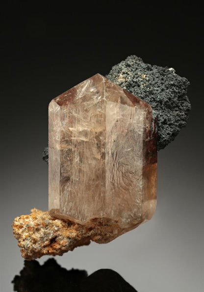 CC16394 specimen image