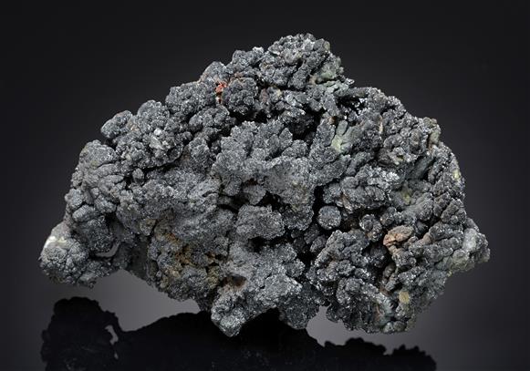 CC16395 specimen image