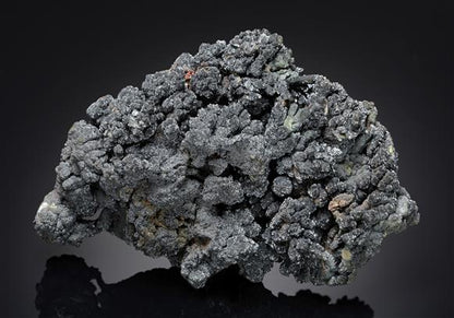 CC16395 specimen image