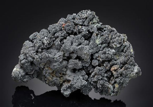 CC16395 specimen image