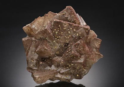 CC16400 specimen image