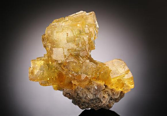CC16409 specimen image