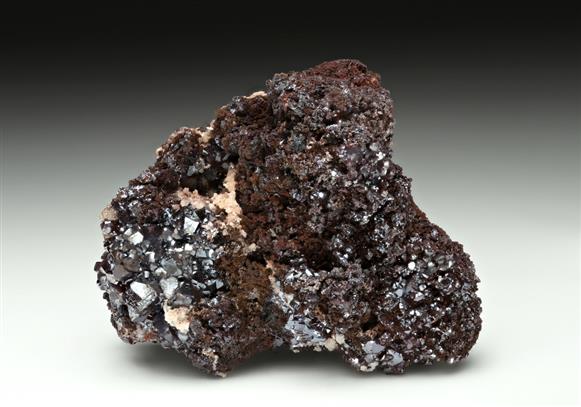 CC16415 specimen image