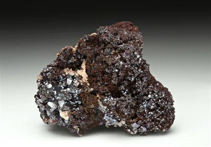 CC16415 specimen image