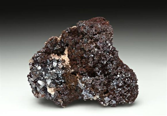 CC16415 specimen image