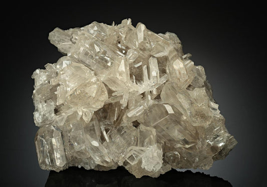 CC16430 specimen image