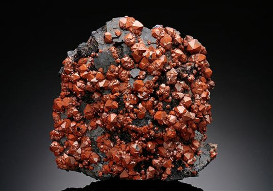 CC16436 specimen image