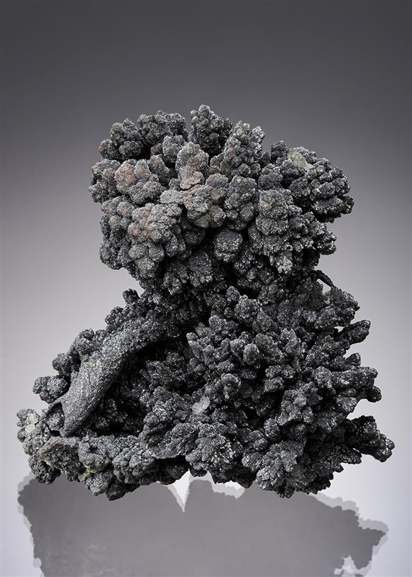 CC16442 specimen image