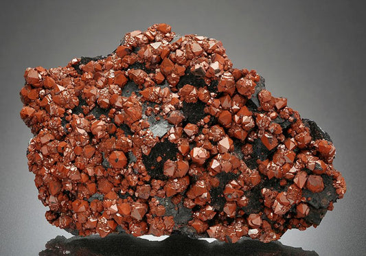 CC16445 specimen image