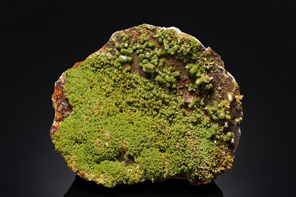 CC16464 specimen image
