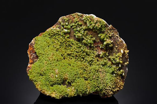 CC16464 specimen image