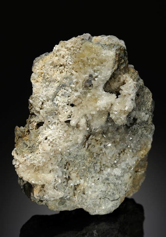 CC16508 specimen image