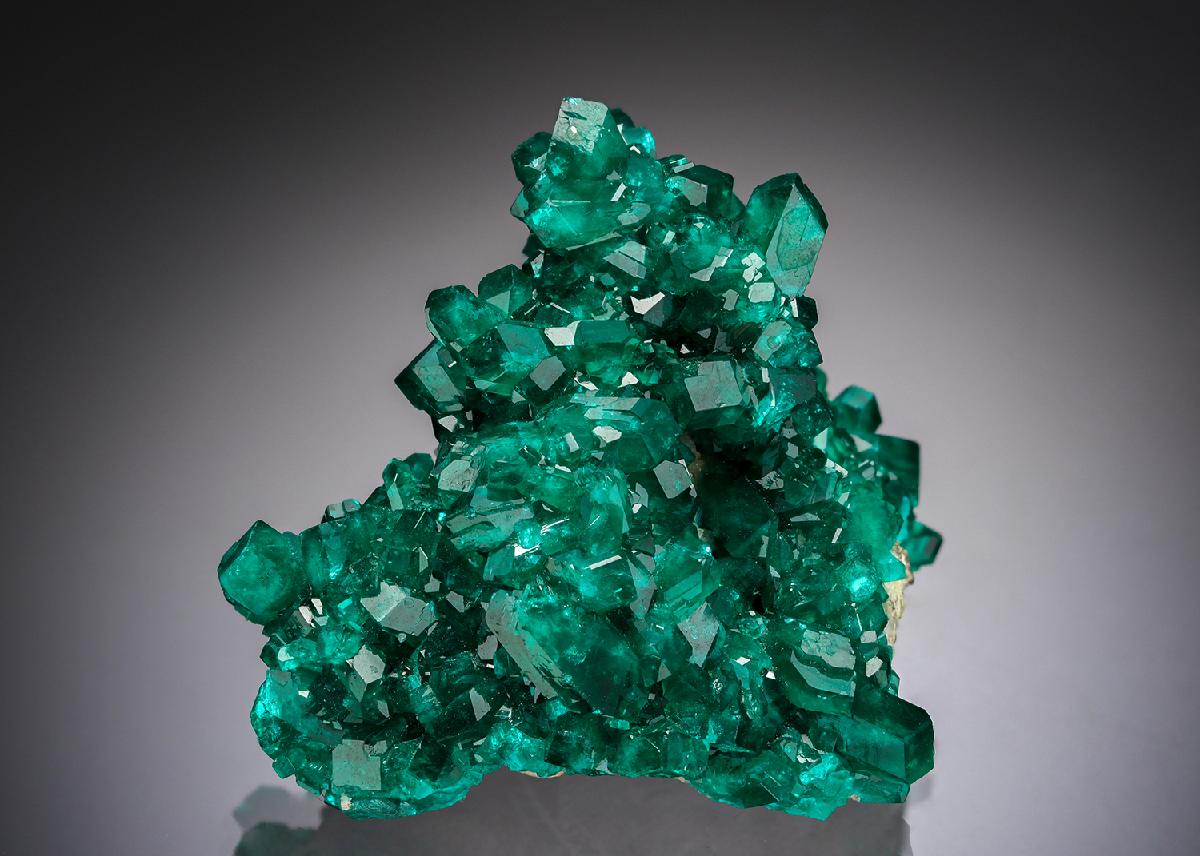 CC1651 specimen image