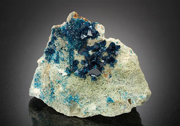 CC16517 specimen image
