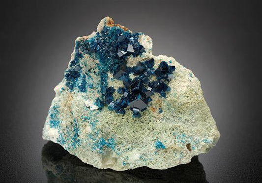 CC16517 specimen image
