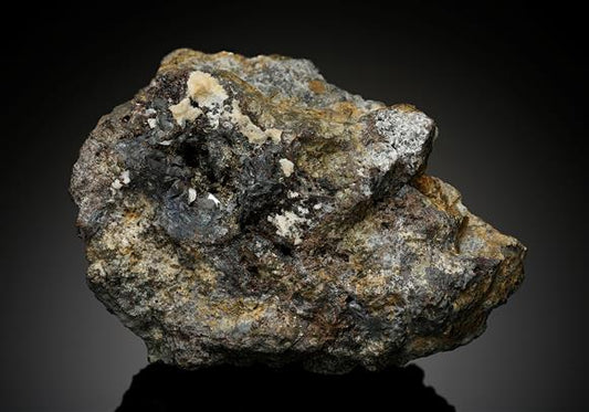 CC16540 specimen image