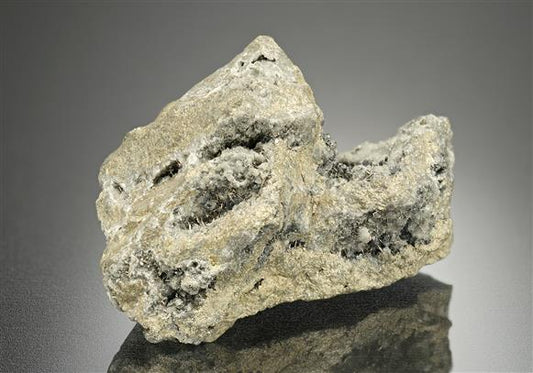 CC16562 specimen image