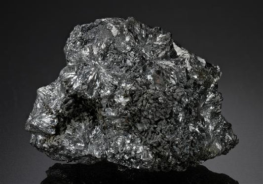 CC16572 specimen image