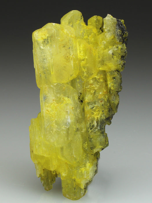 CC1662 specimen image