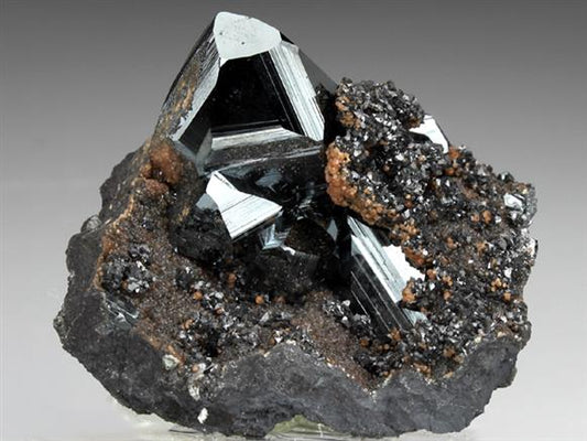CC1664 specimen image
