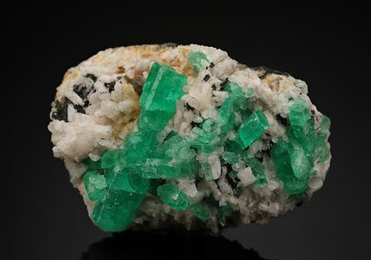 CC16675 specimen image