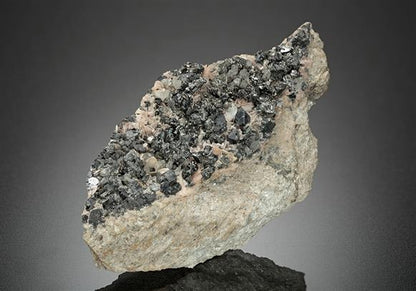 CC16678 specimen image