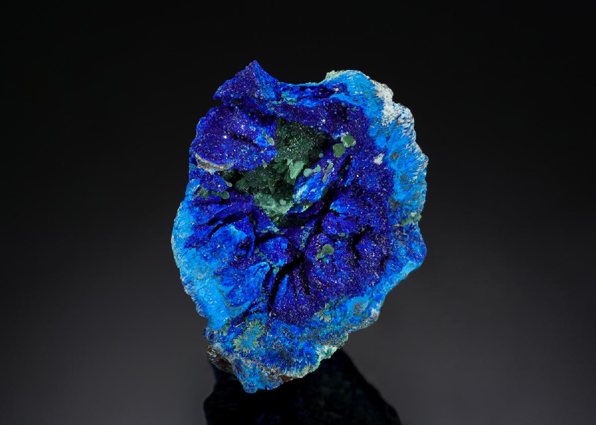CC16700 specimen image