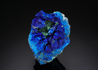 CC16700 specimen image