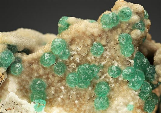 CC16705 specimen image