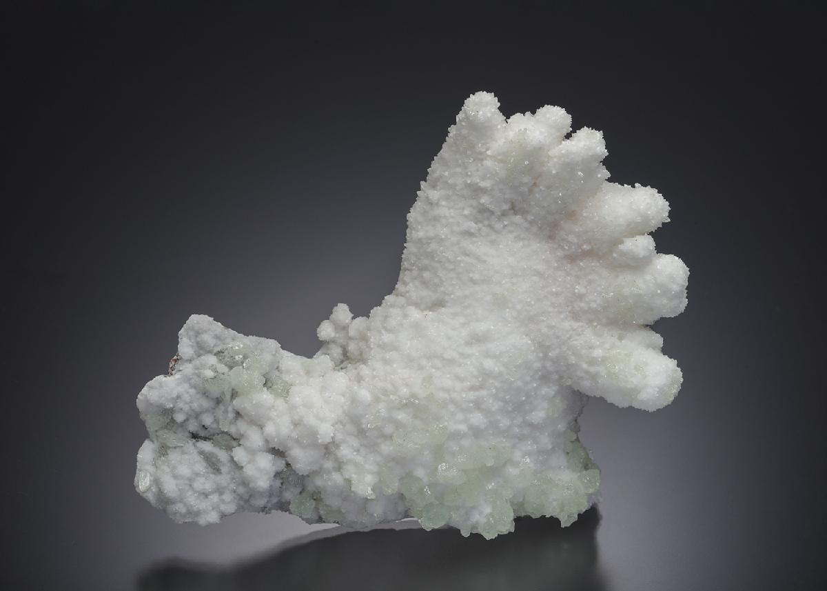 CC16712 specimen image