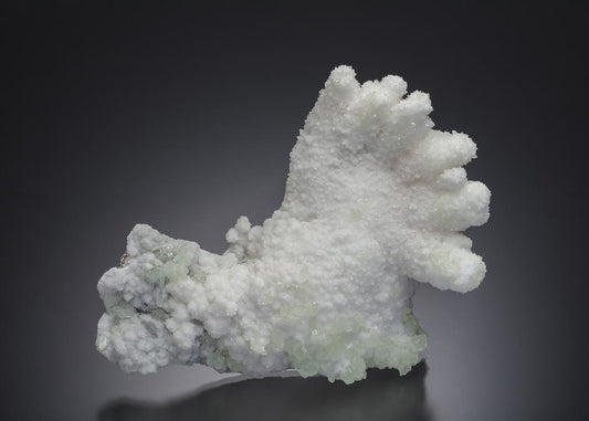 CC16712 specimen image
