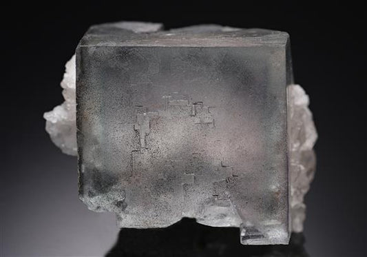 CC16724 specimen image